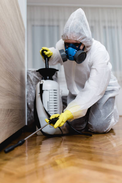 Reliable Adairsville, GA Pest control Solutions